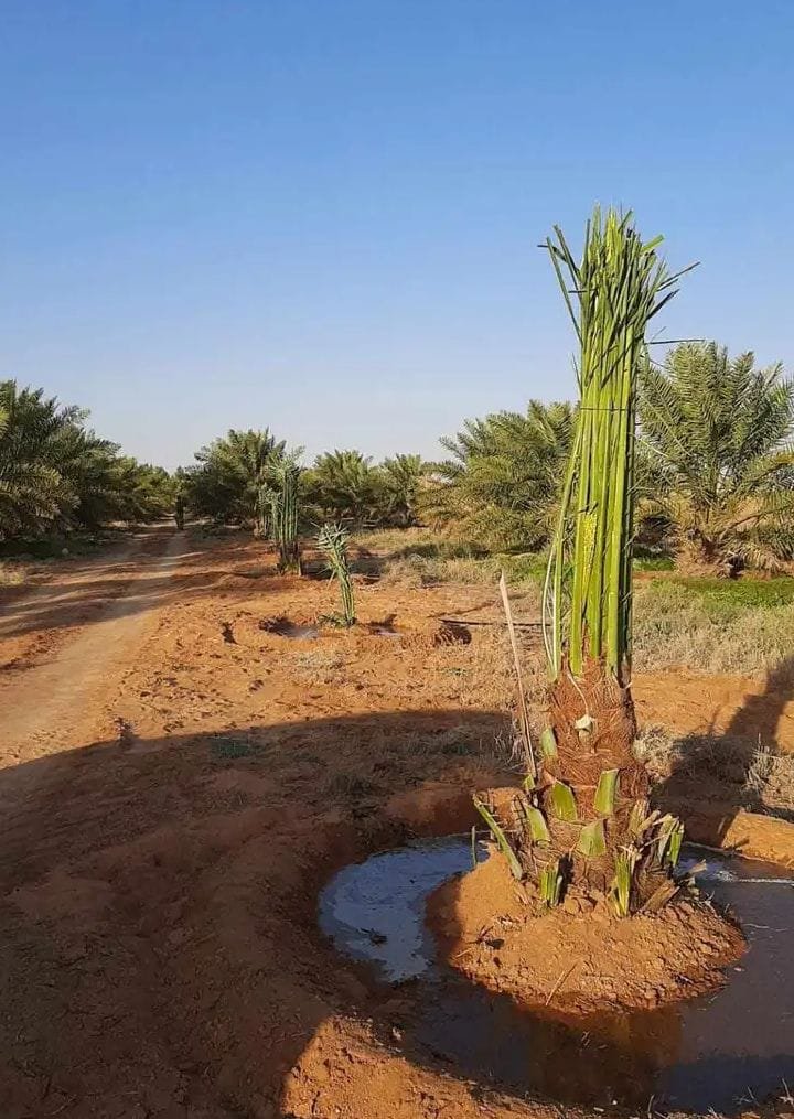 5209139f-8d21-4351-92ae-0c4aef3cddfb